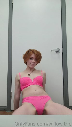 Willow Trie Photo #51