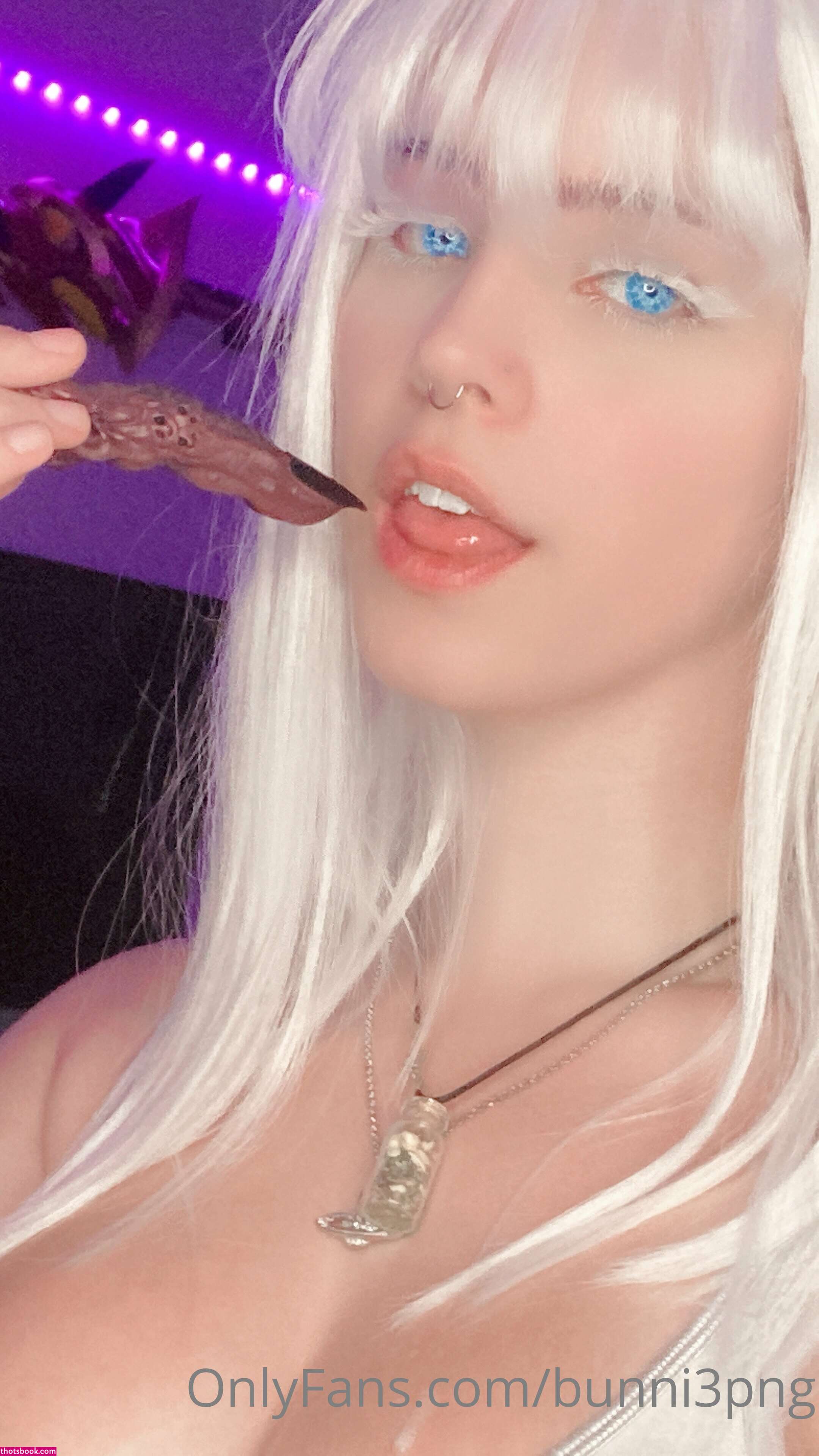 Creator Photo #136377