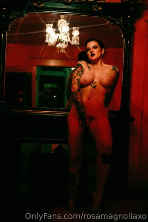 Rosa Magnolia Photo #2