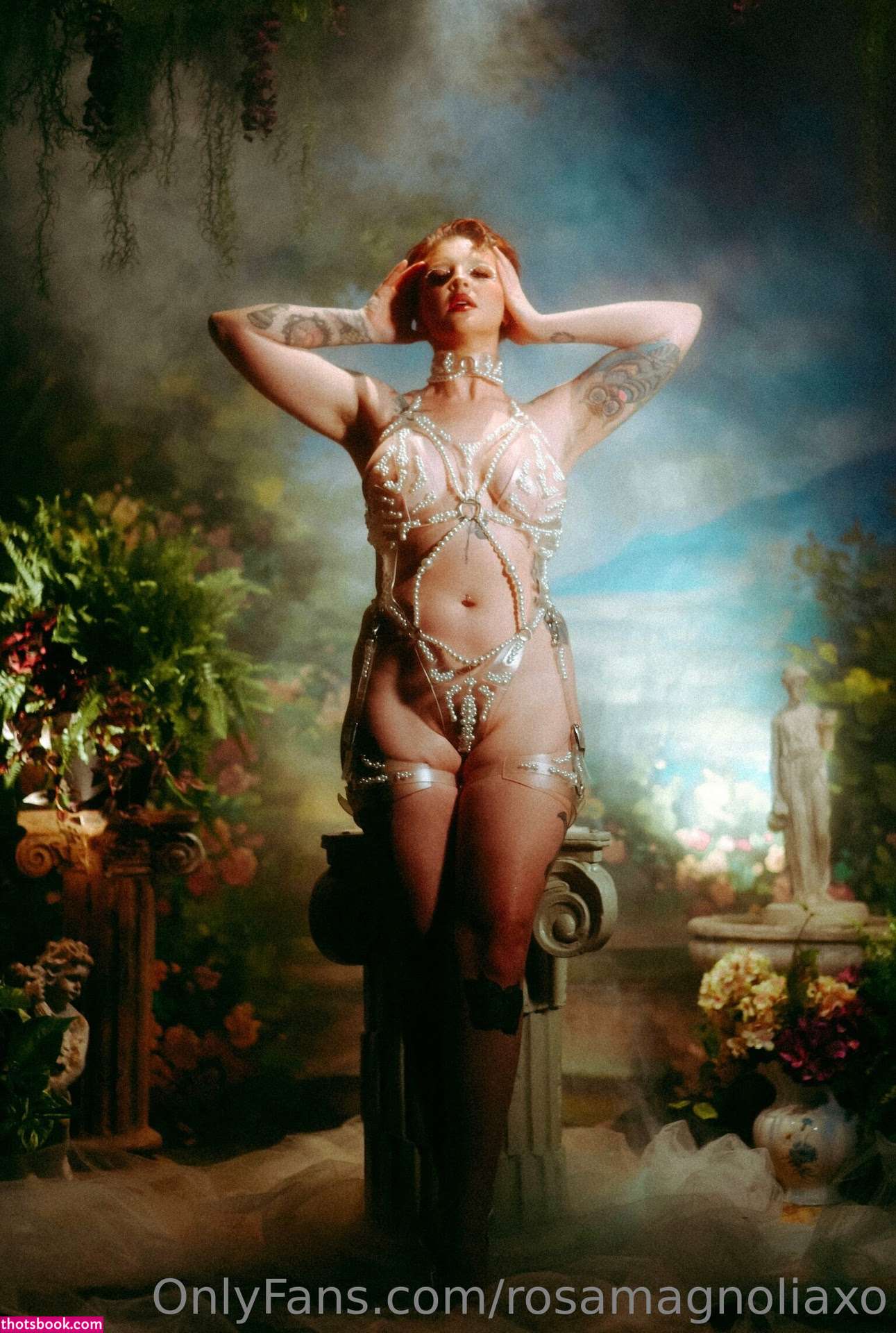 Rosa Magnolia Photo #17