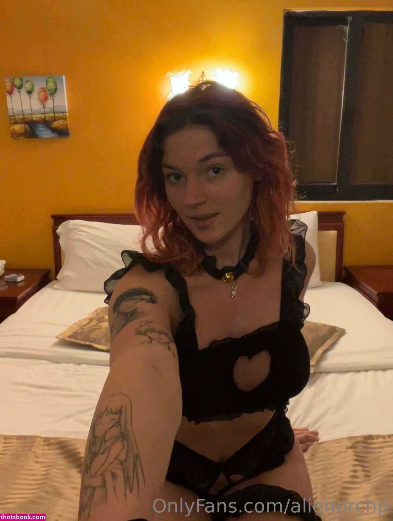 Alienorchp Photo #10