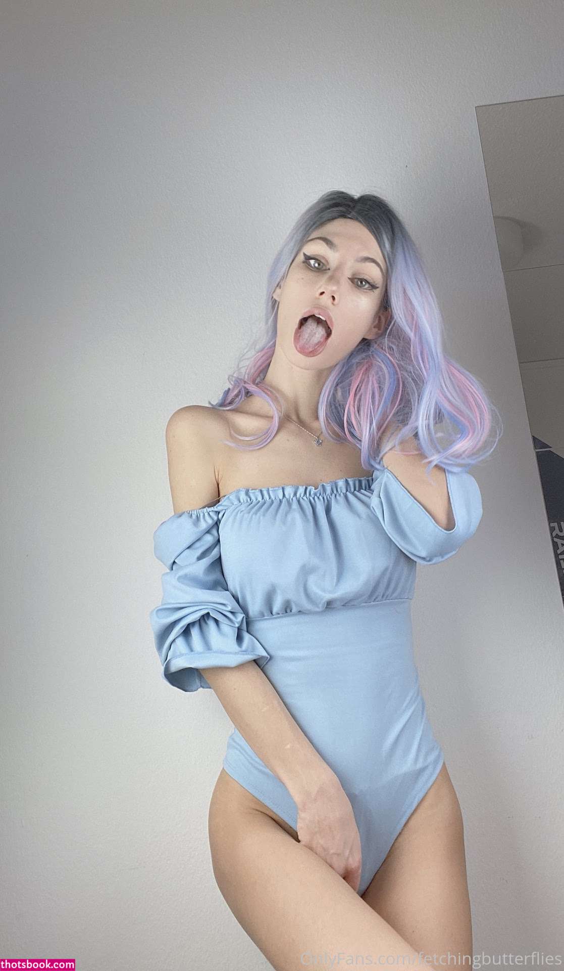 Fetching Butterflies Photo #27