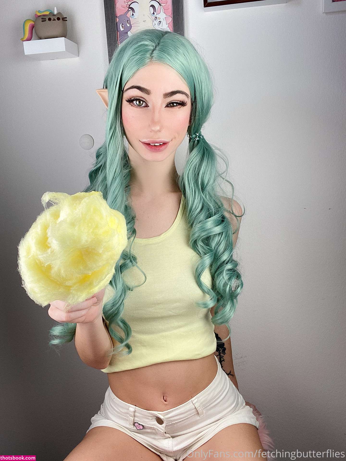 Fetching Butterflies Photo #72