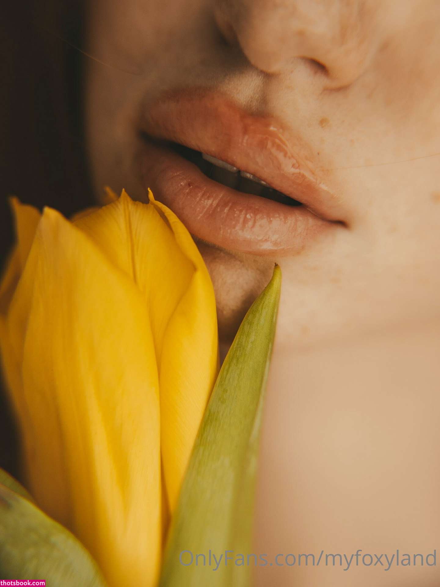 Myfoxyland Photo #11