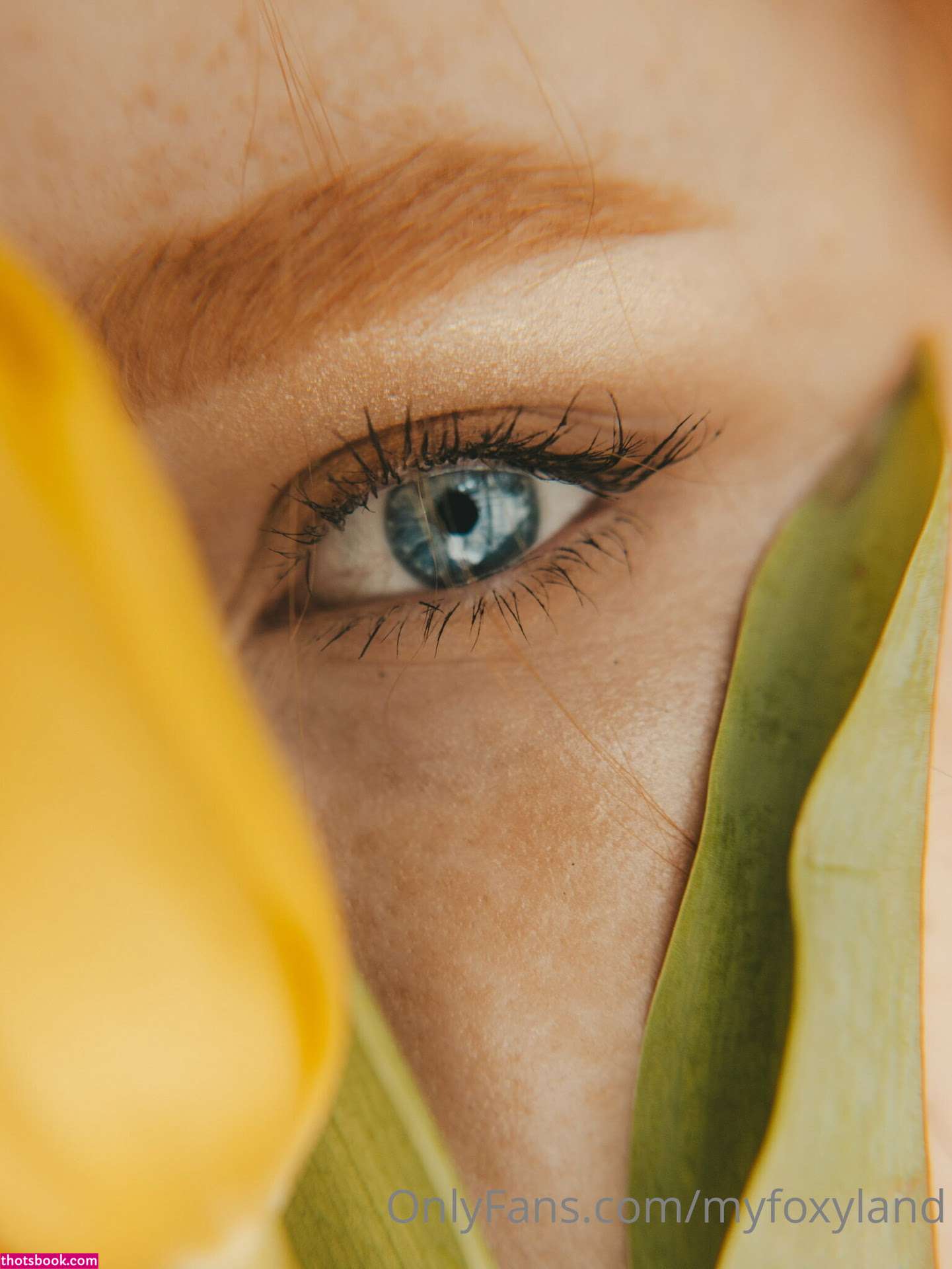 Myfoxyland Photo #13