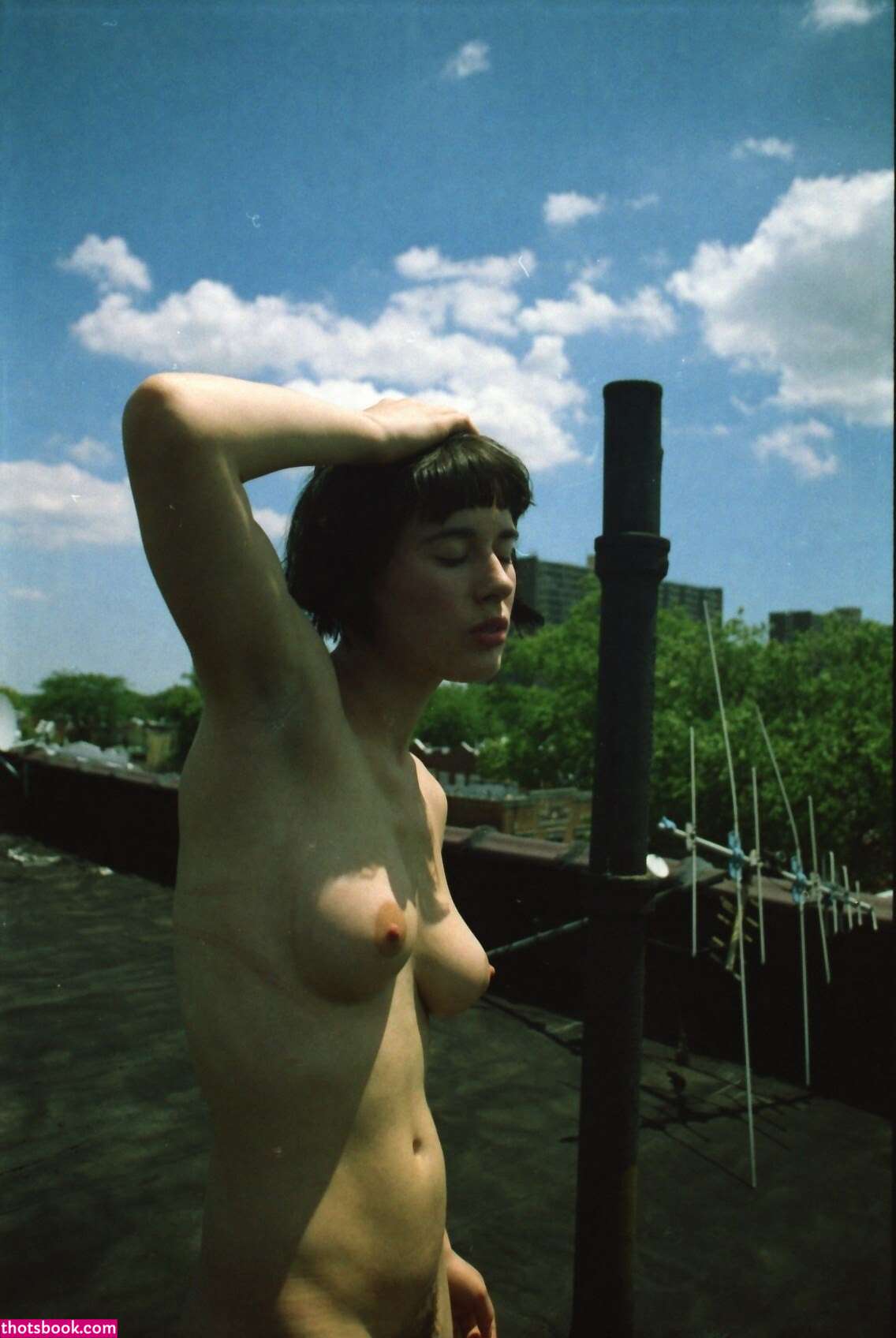 Olive Glass Photo #21