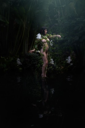 Olive Glass Photo #26