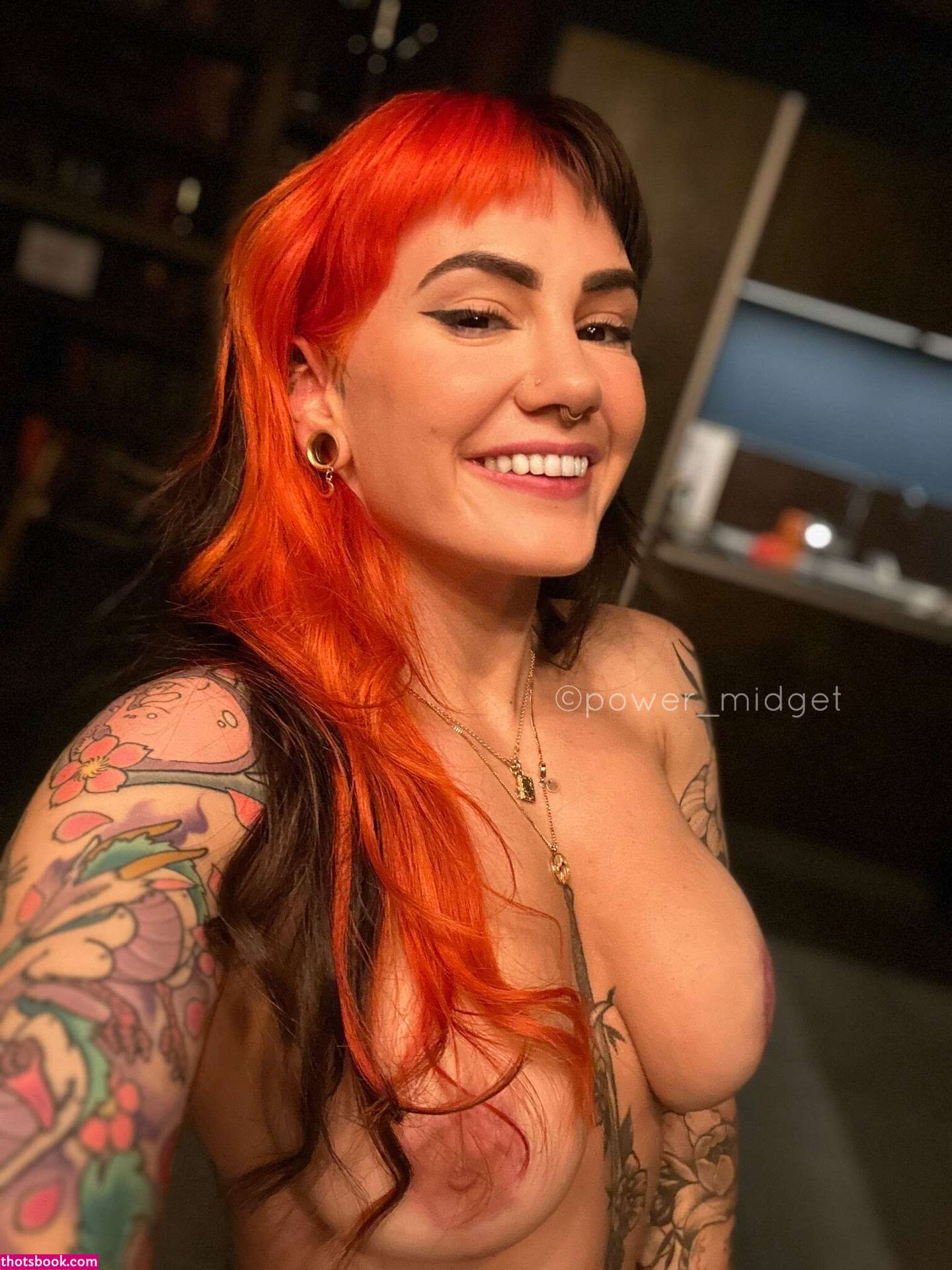 Power Midget Photo #138