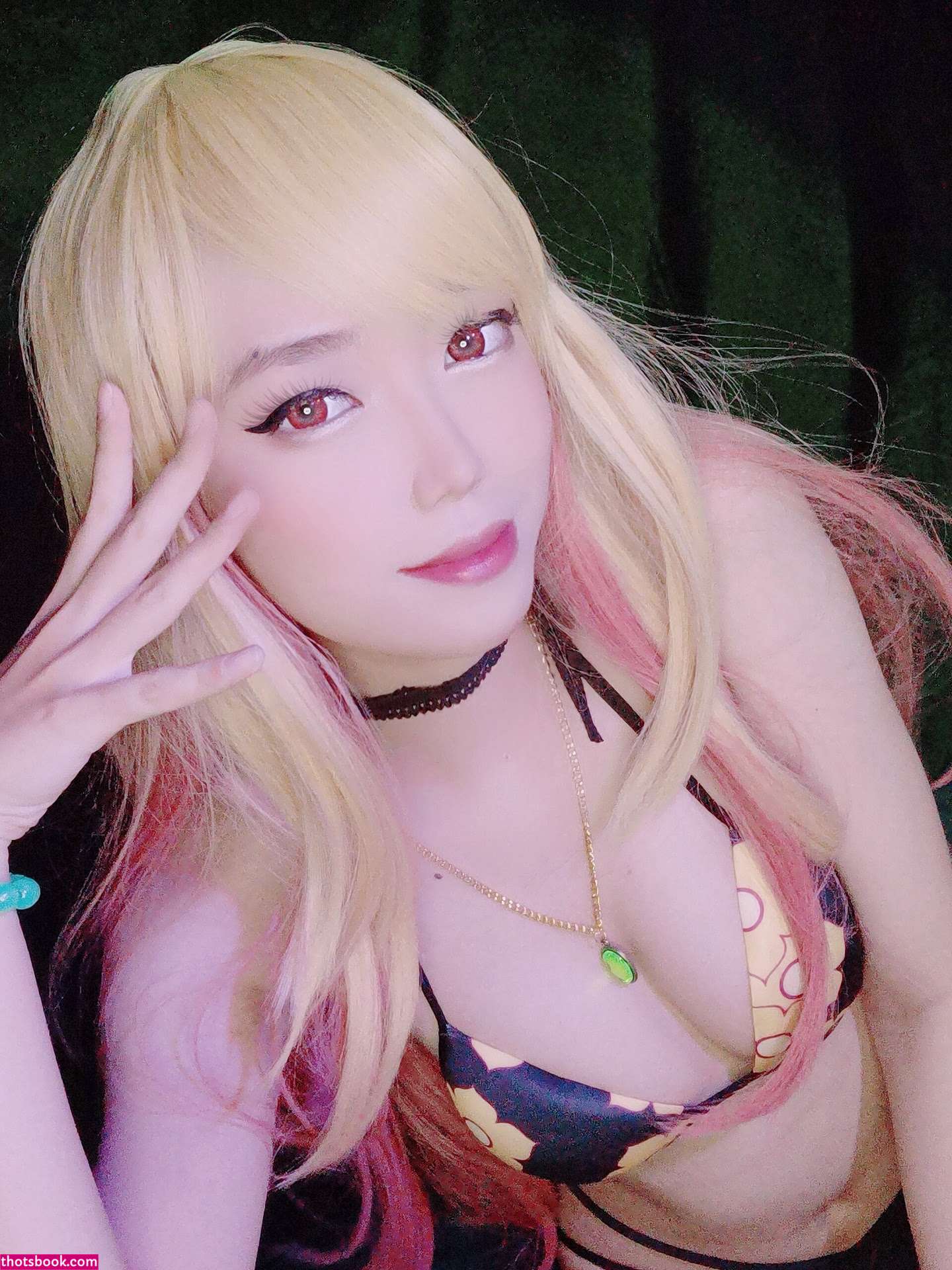 Astercoser Photo #29