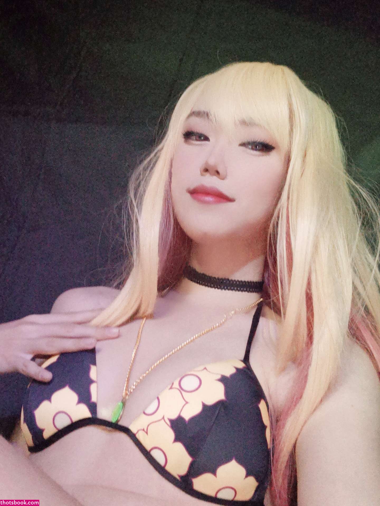 Astercoser Photo #33