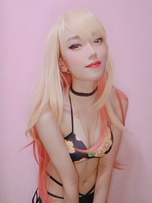 Astercoser Photo #22