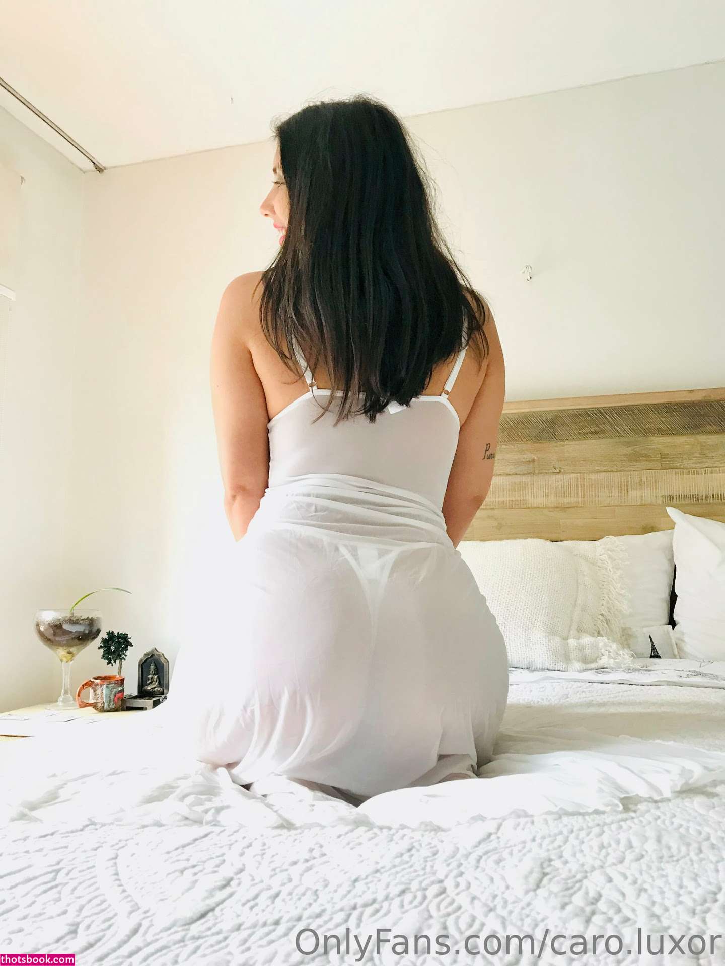 Caro Luxor Photo #95