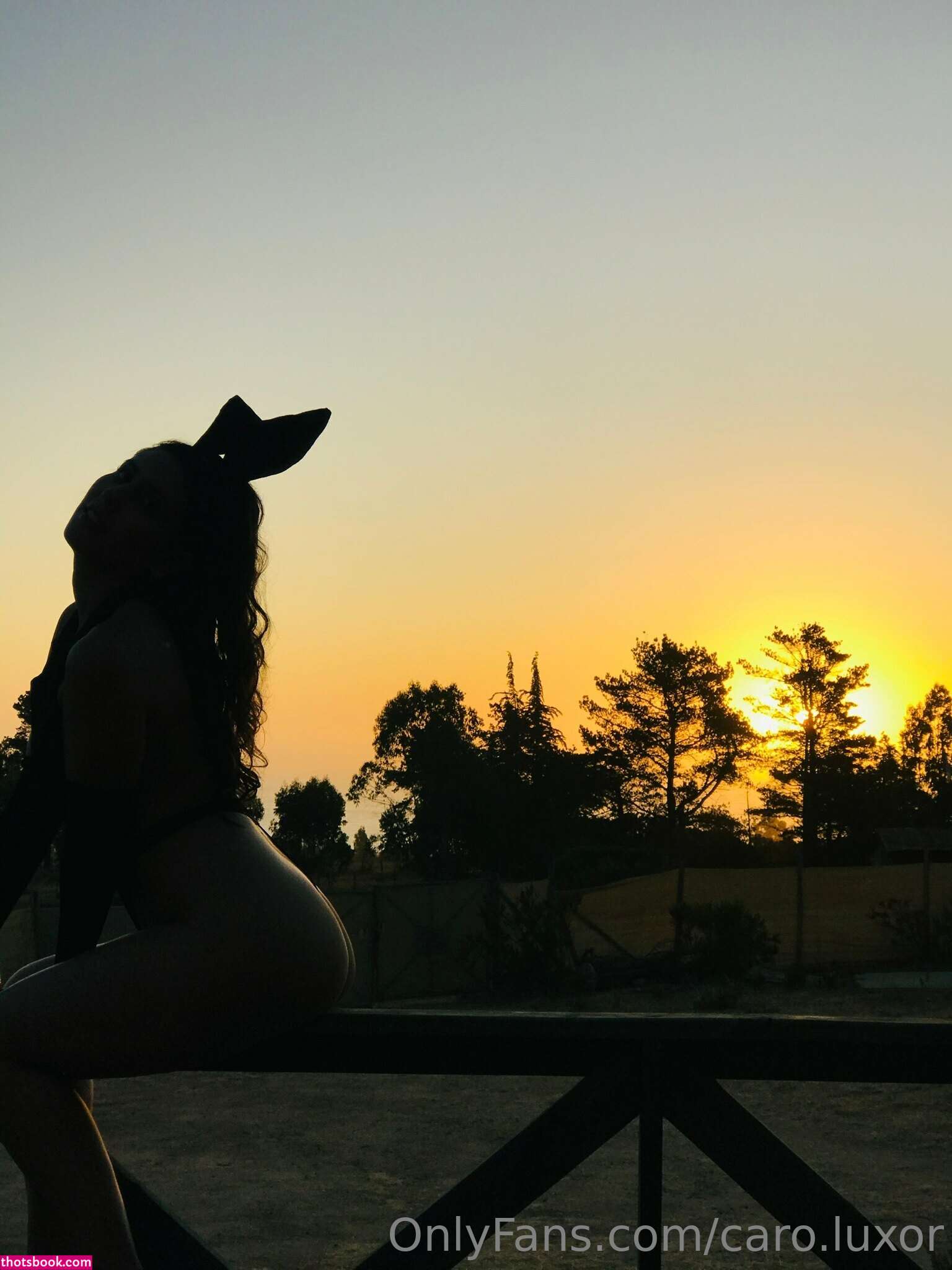 Caro Luxor Photo #101