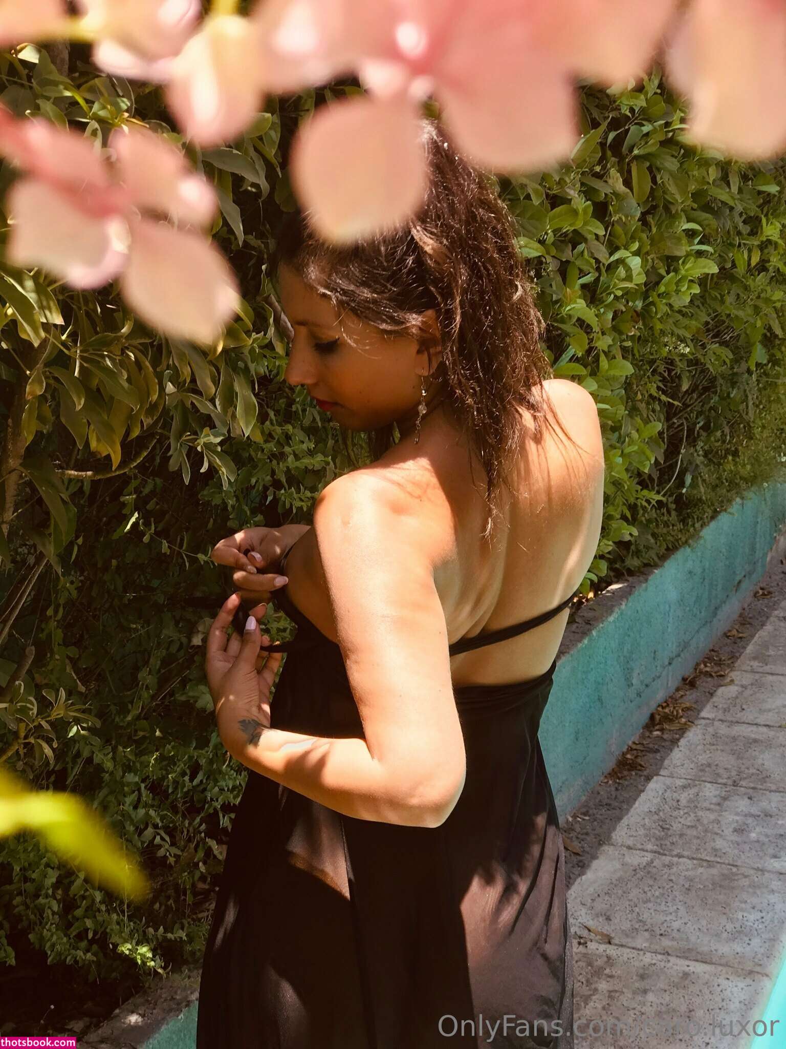 Caro Luxor Photo #104