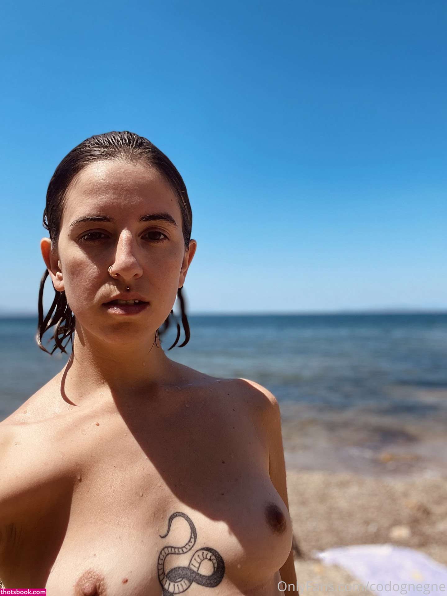 codognegne Photo #23