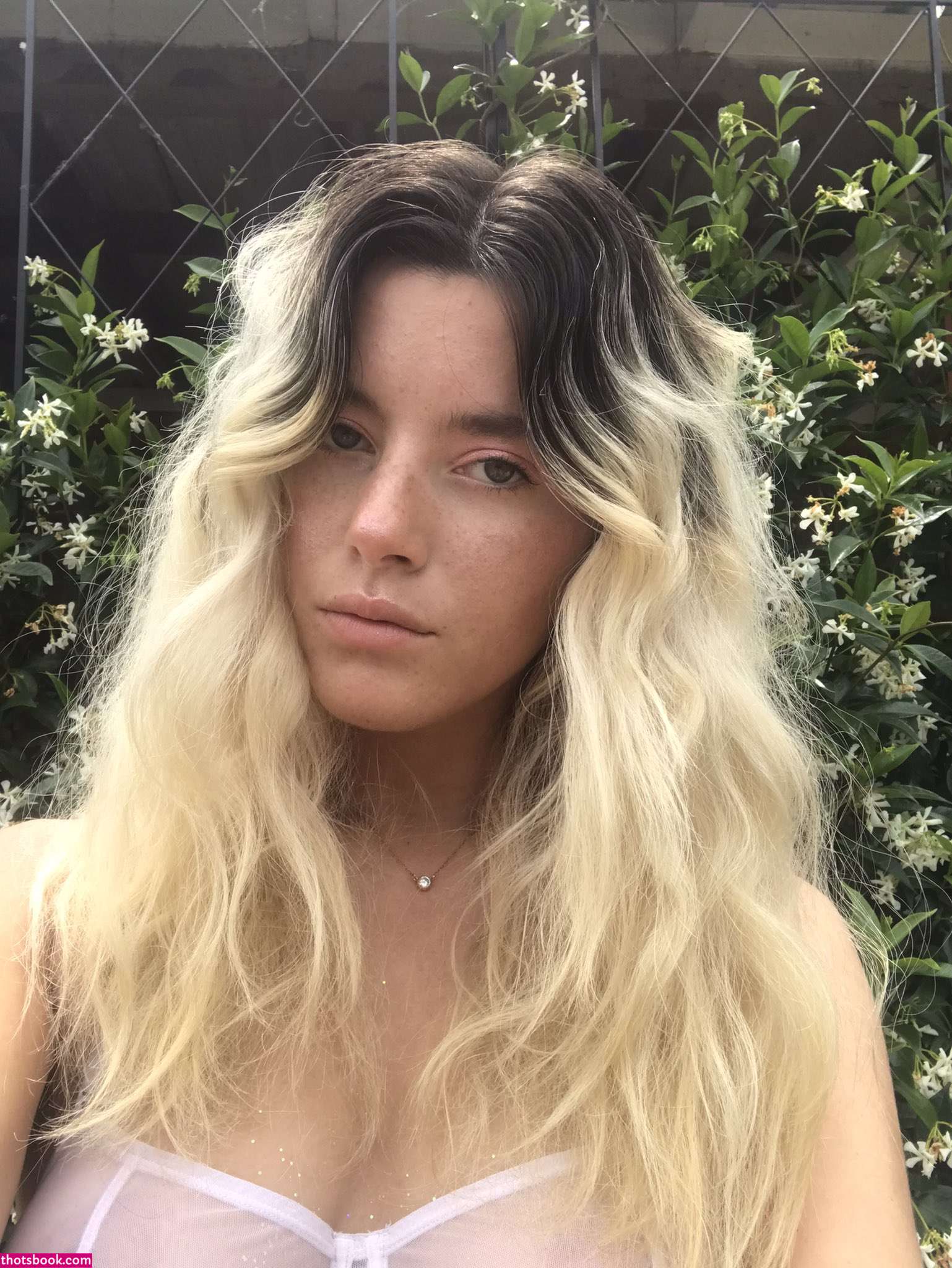 Bambi Fields Photo #10