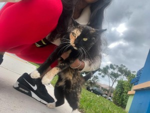 Angelinaxamor Photo #3