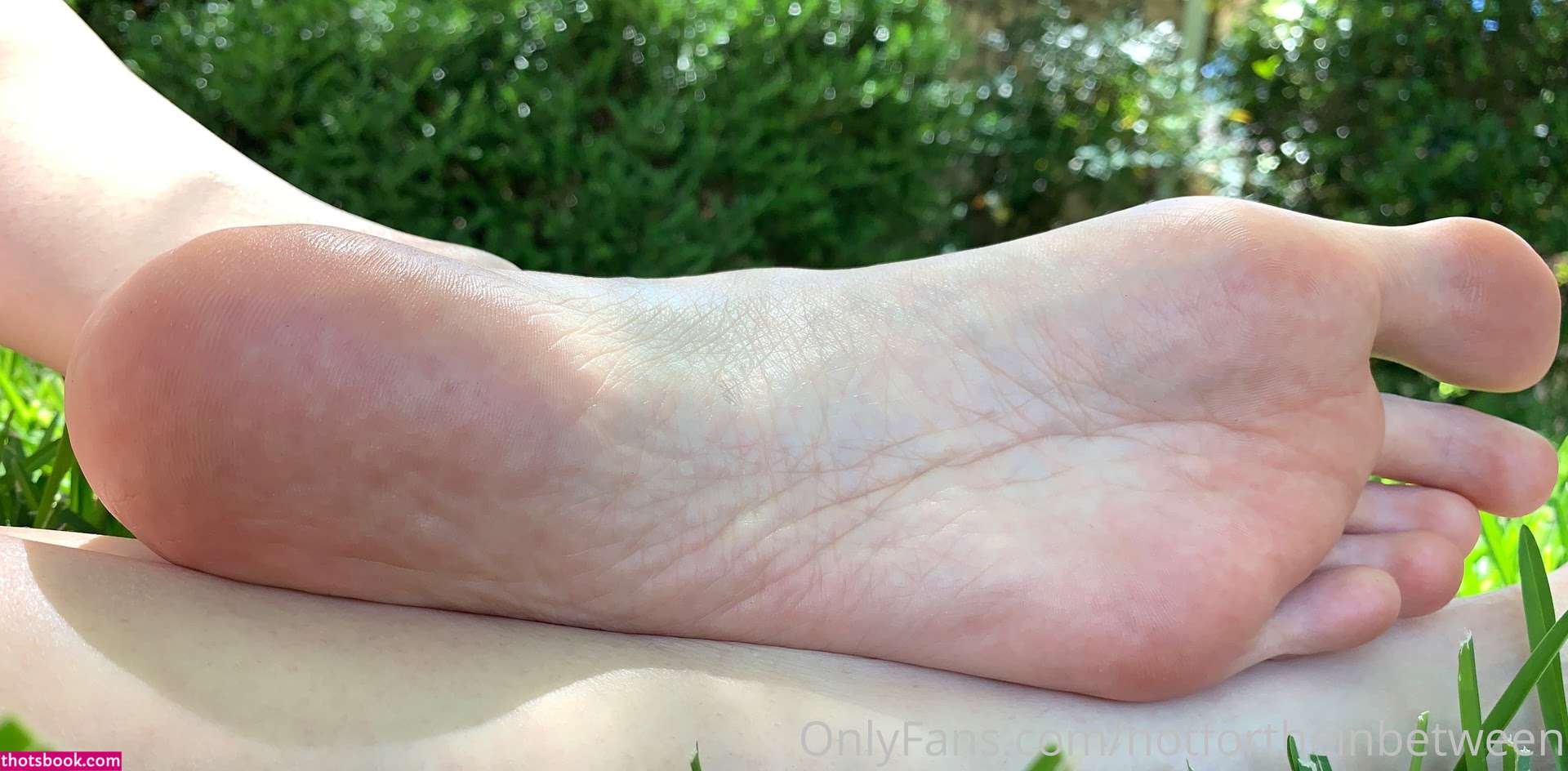 Notfortheinbetween Photo #35