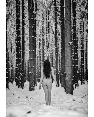 Lisa Brands Photo #29