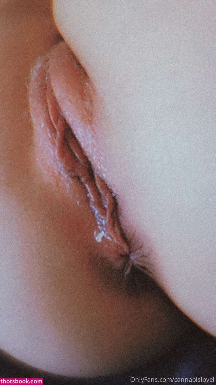 High Lemon Photo #10