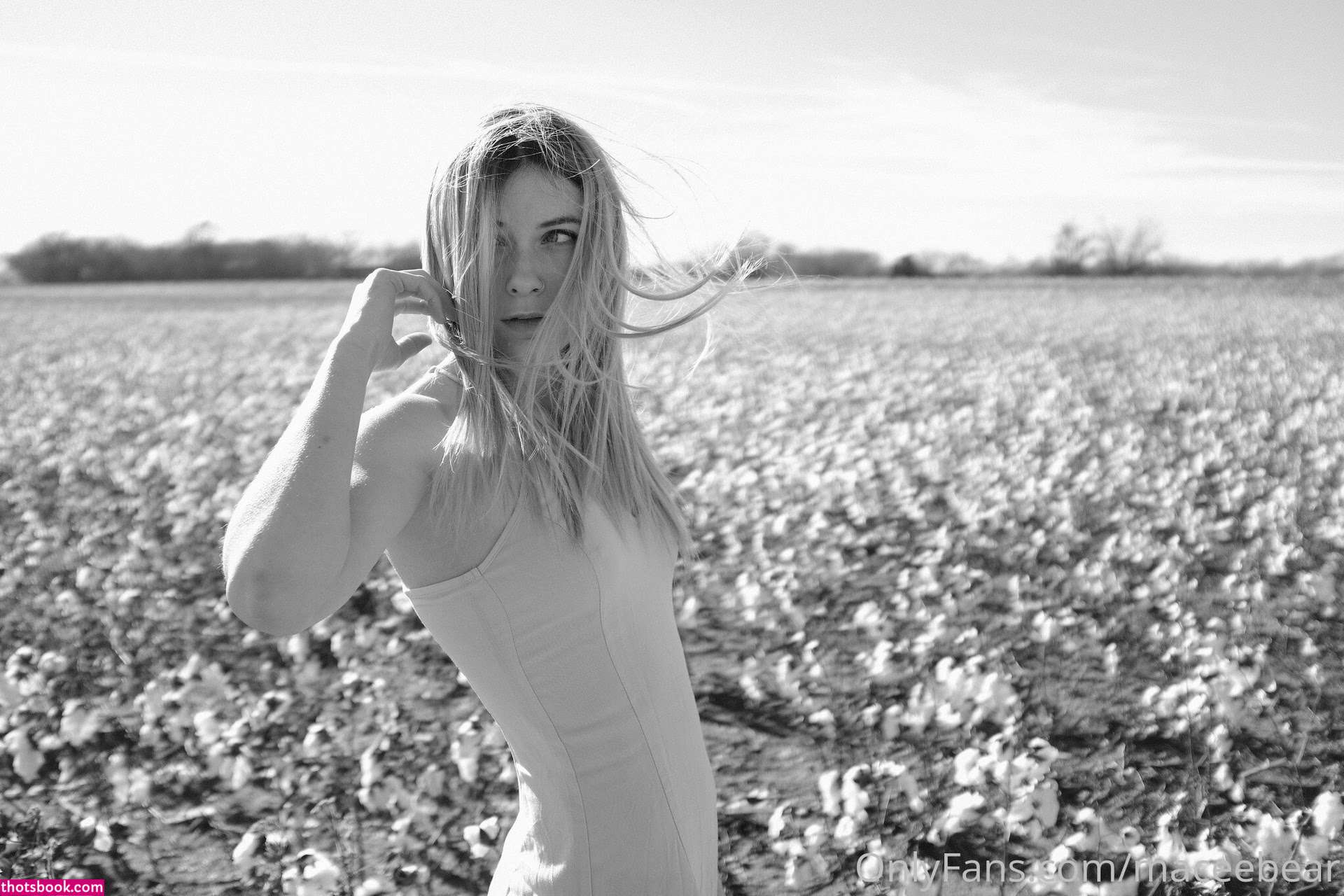 Neptunenips Photo #16