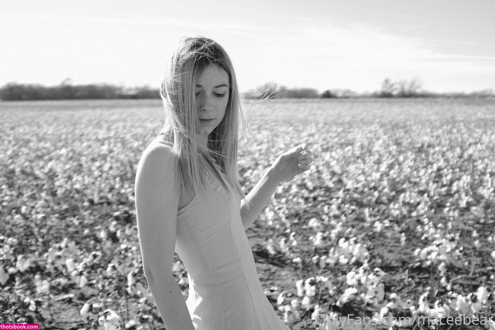 Neptunenips Photo #17