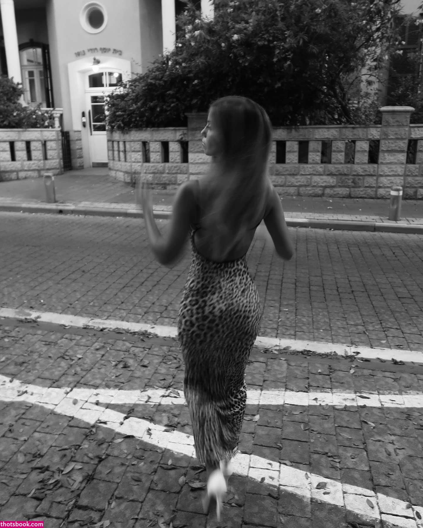 Maayan Shaibi Photo #2