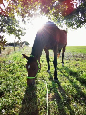 Nina Raine Photo #30