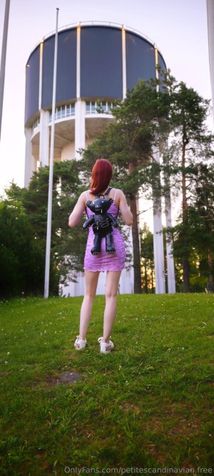 petitescandinavian04 Photo #11