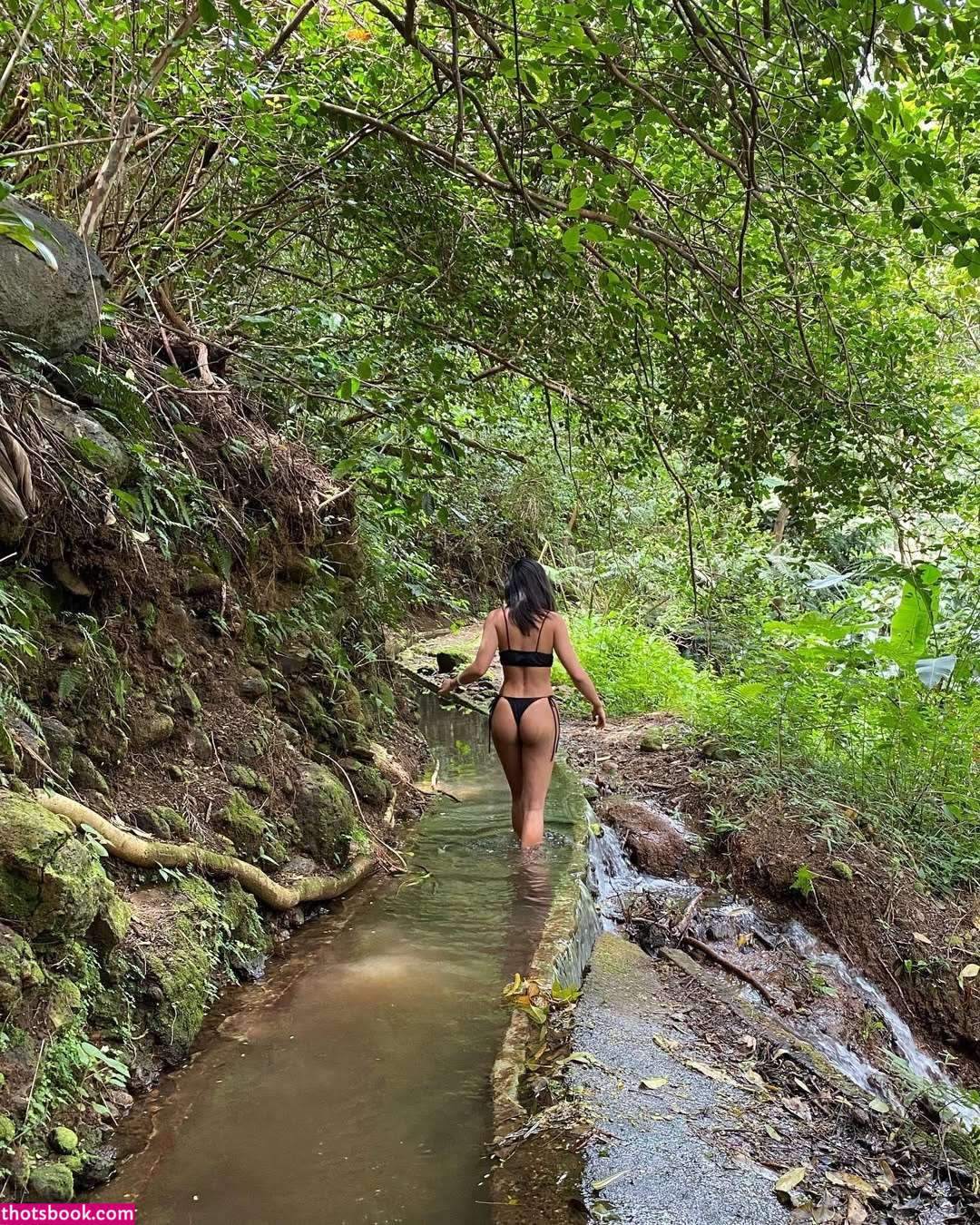 Zenademapan Photo #2