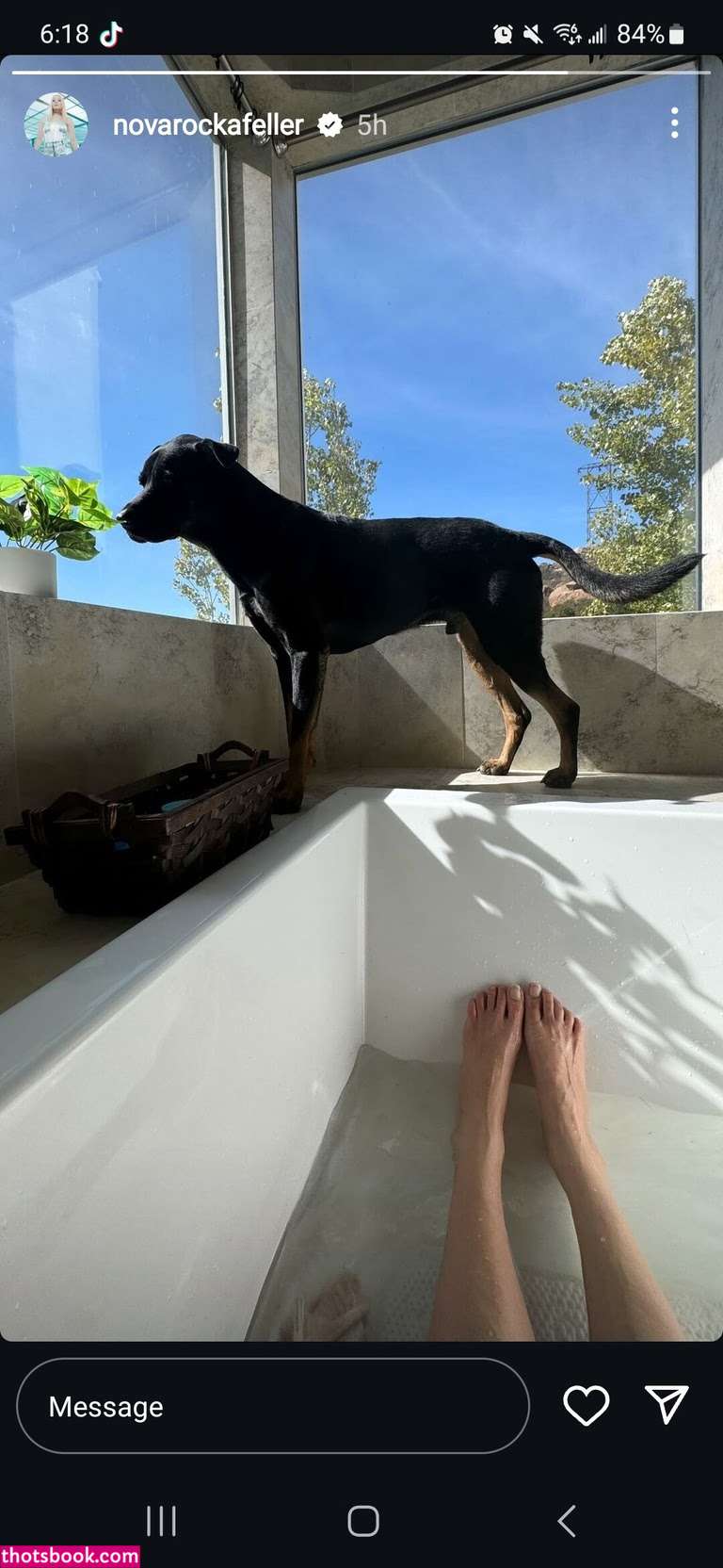 Nova Rockafeller Photo #6