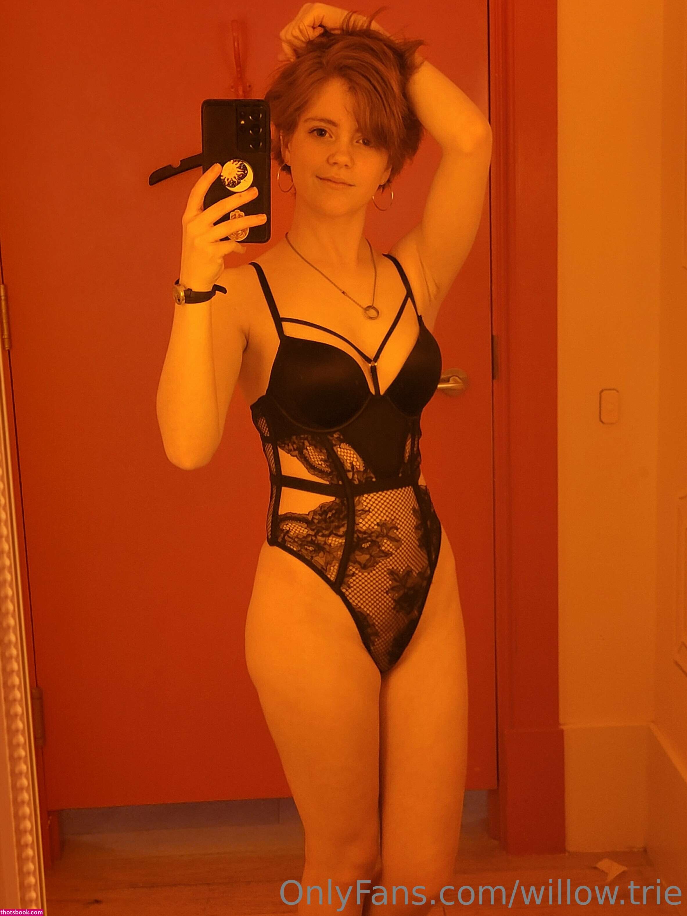 Willow Trie Photo #12