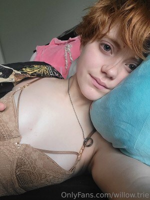 Willow Trie Photo #22