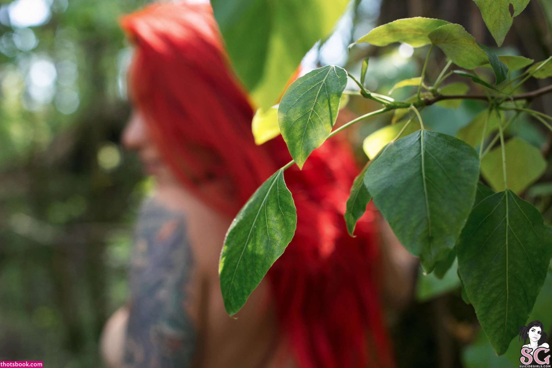 Torie Suicide Photo #189