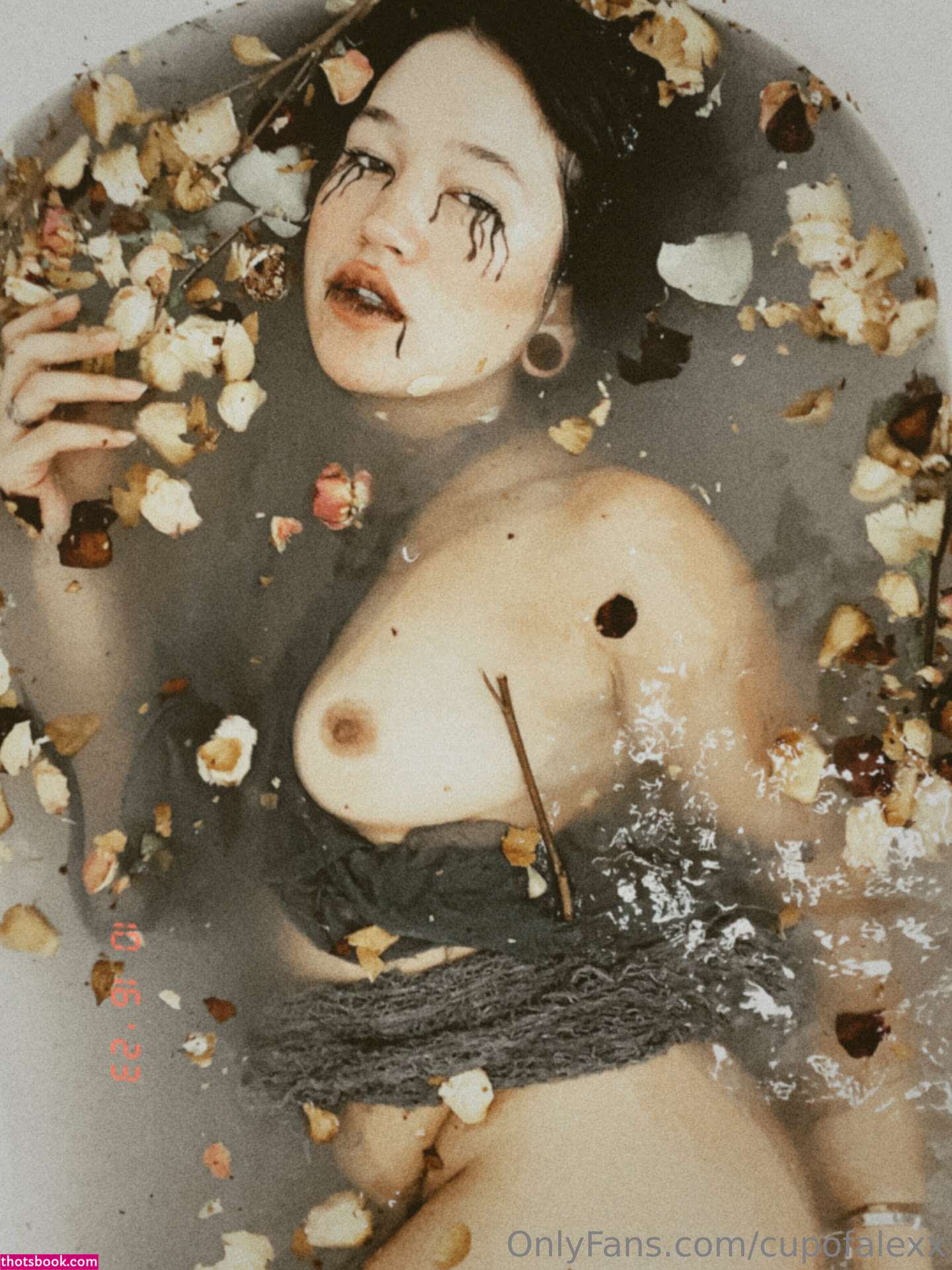 Cupofalexx Photo #159