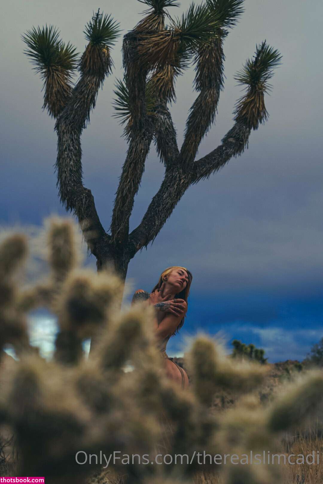 therealslimcadi Photo #34