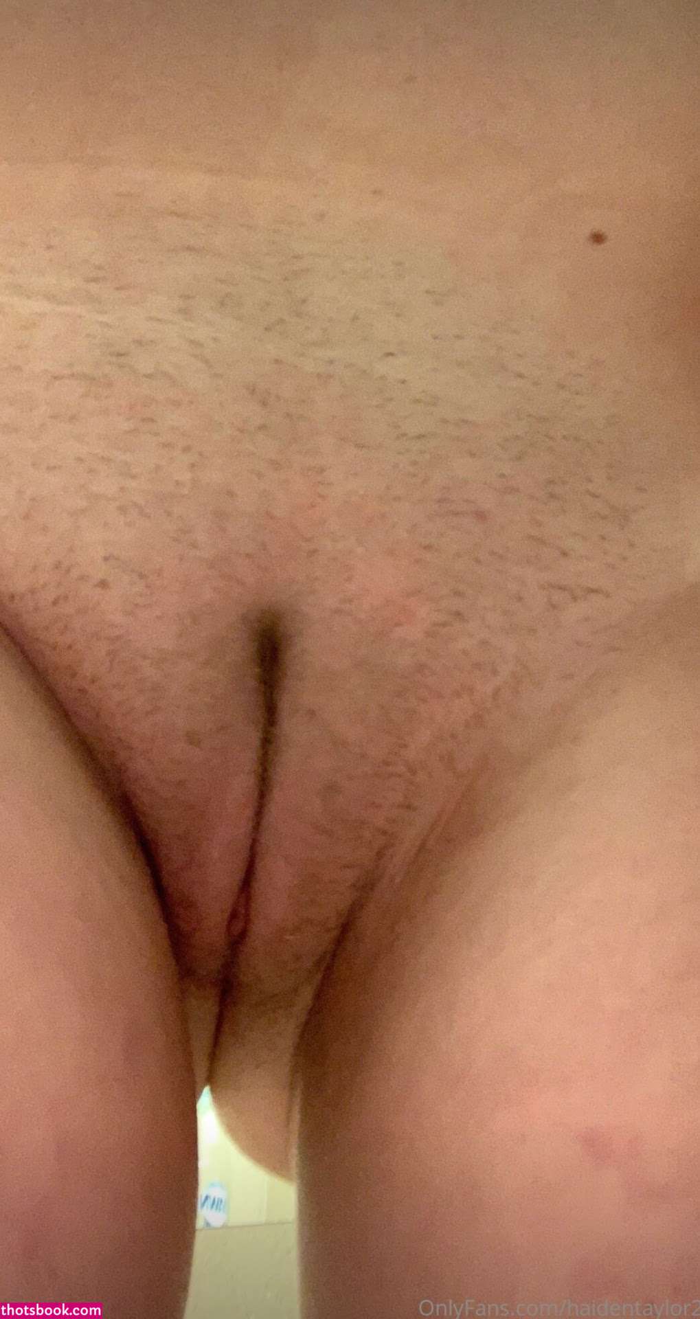 haidentaylor2 Photo #61