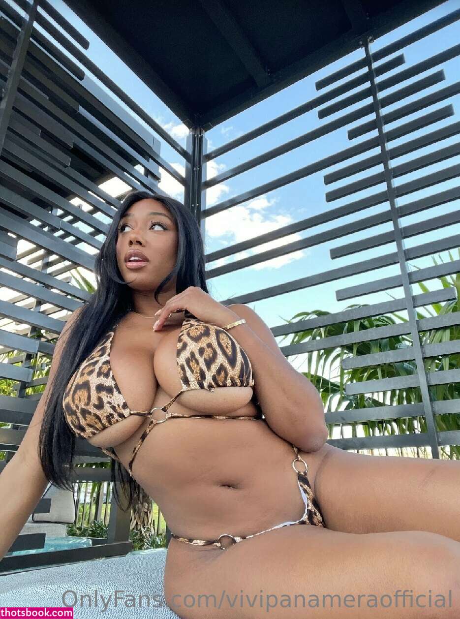 Vivipanameraofficial Photo #6