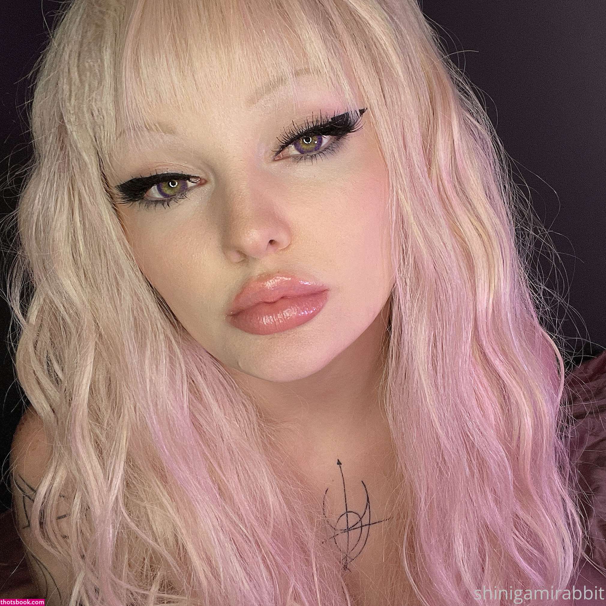 Shinigami Rabbit Photo #44