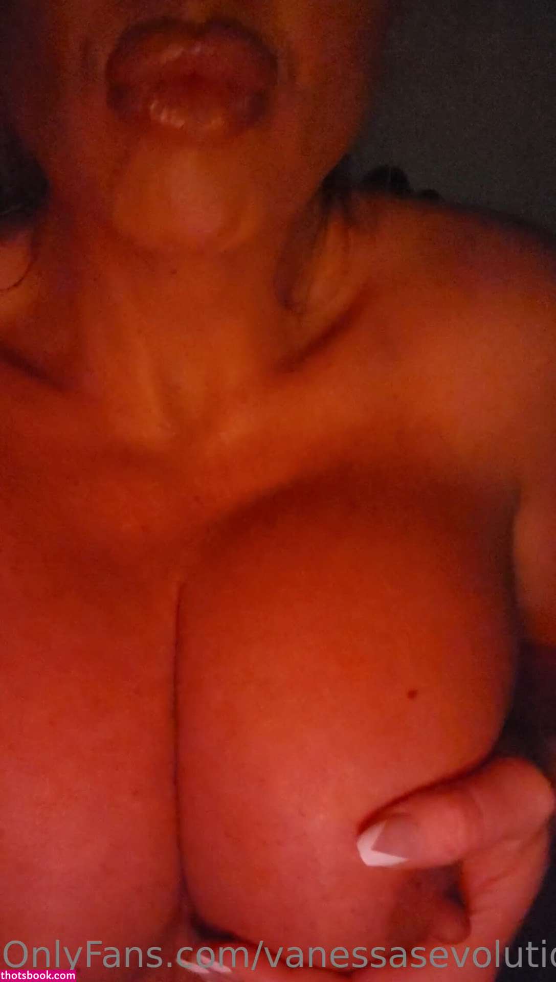 Vanessas Evolution Photo #16