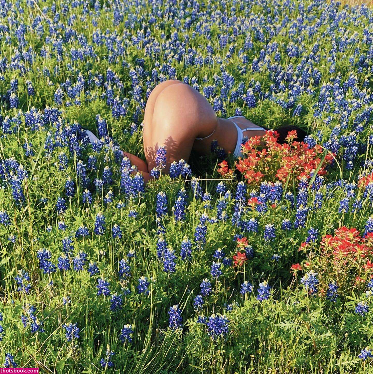 Regina Unite Photo #16