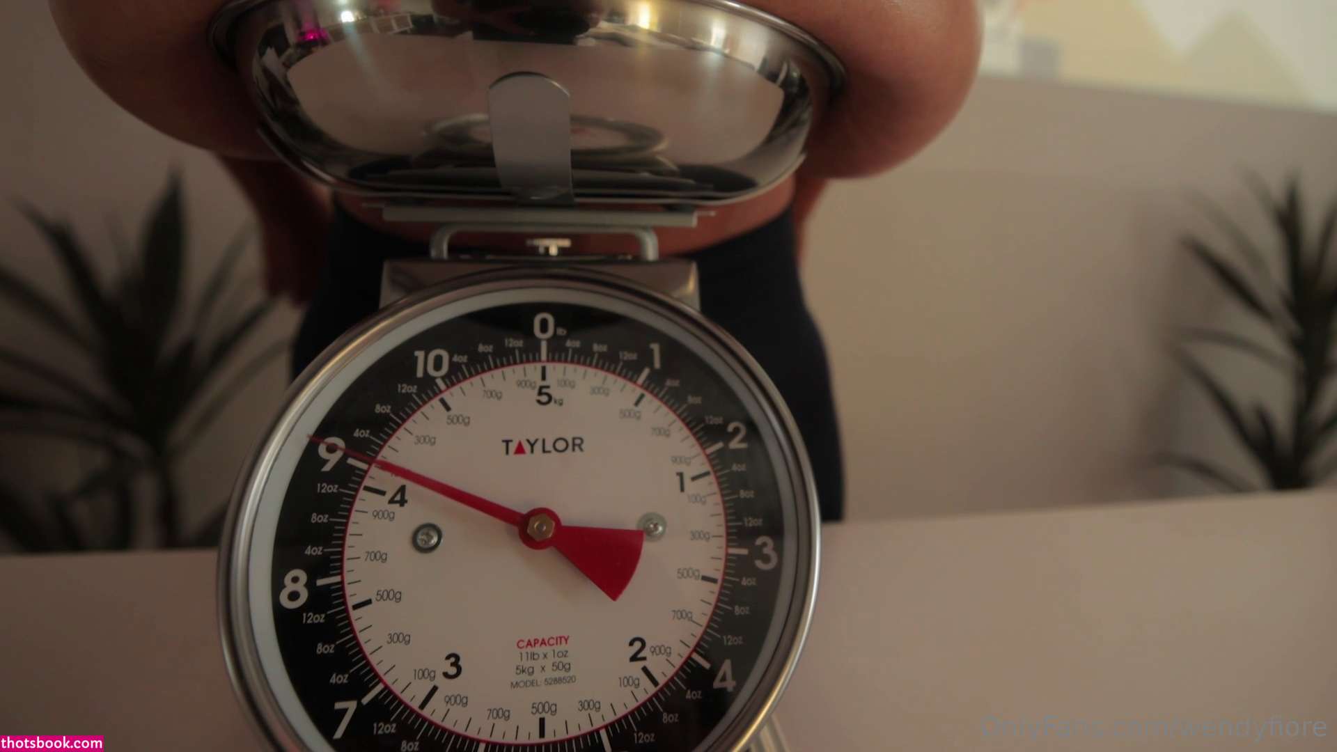 Wendy Fiore Photo #57