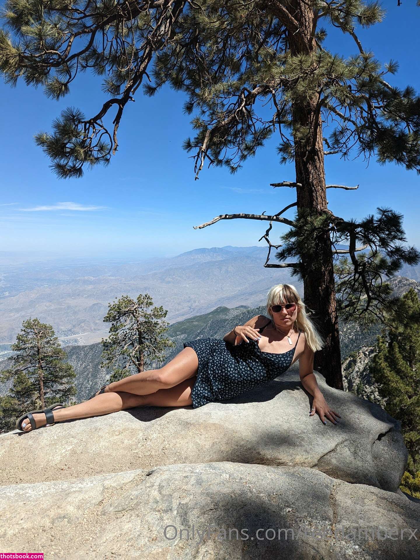 Reed Amber Photo #57