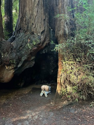 thebitesizedbitch Photo #69