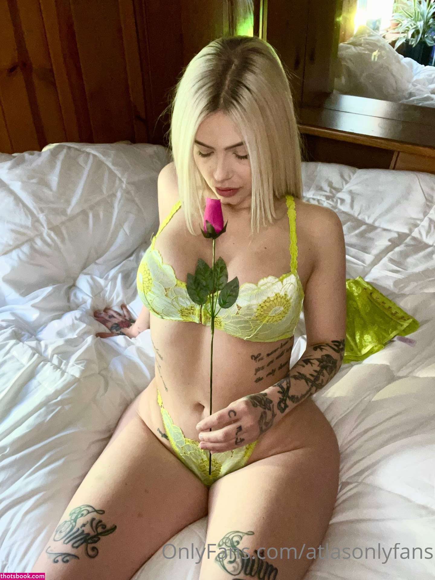 Atlas Anatomy Photo #16