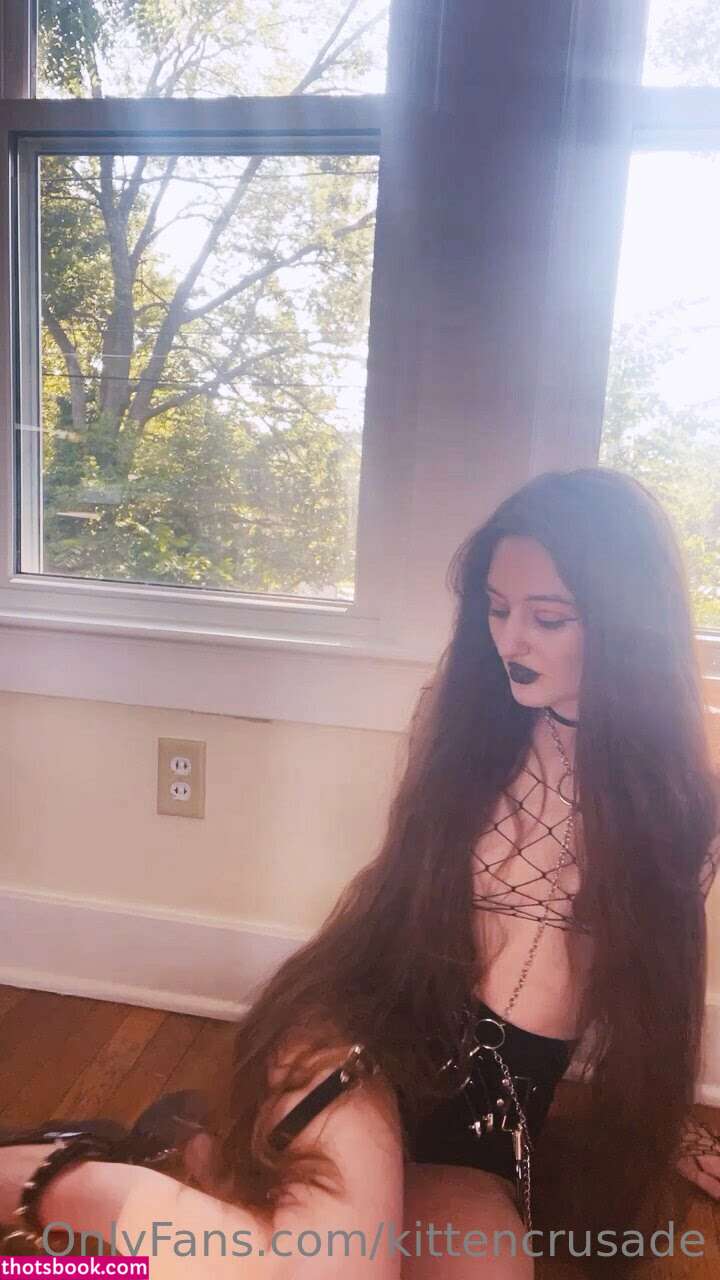 kittencrusade Photo #64