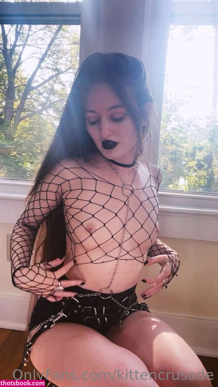 kittencrusade Photo #78