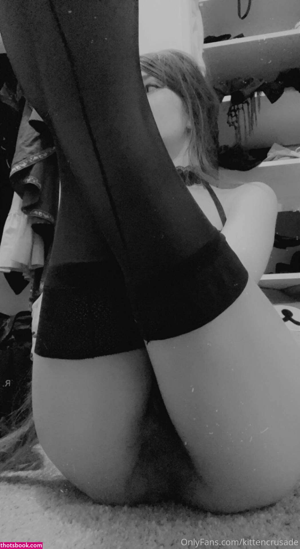 kittencrusade Photo #91