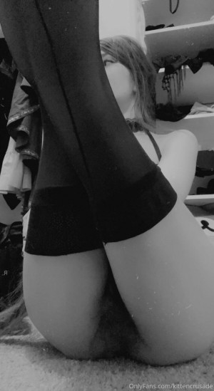 kittencrusade Photo #91