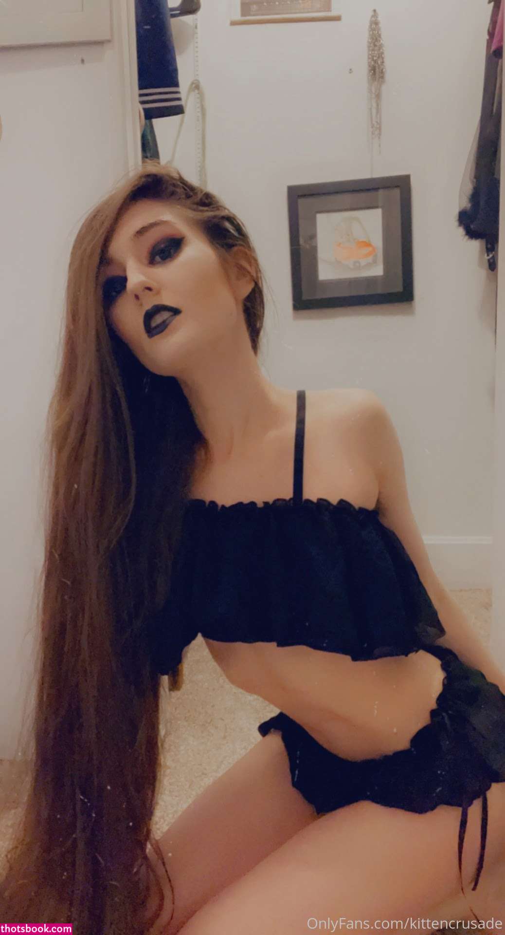 kittencrusade Photo #113